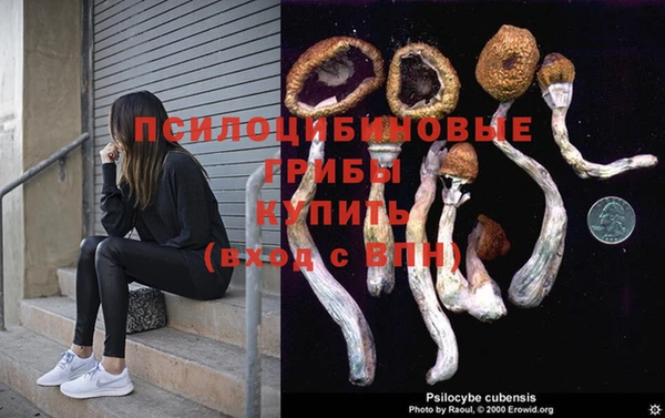 марки nbome Алексеевка