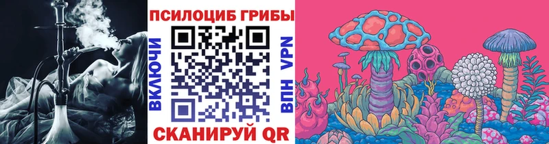 Псилоцибиновые грибы мухоморы  купить наркоту  Шарыпово 